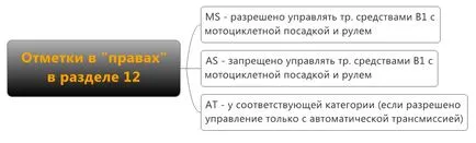 licența de categoria B1 conducere ce este