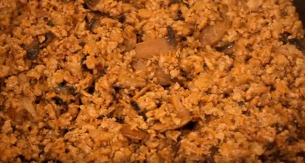 caserola de cartofi cu carne tocată în cuptor timp de 5 pas cu pas rețete cu fotografii