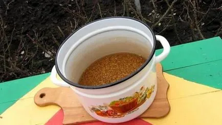 Ce se poate face cu grâu Ce se poate face cu grâu