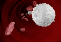 Imunitatea celulară că vitaportal - Sănătate și Medicină