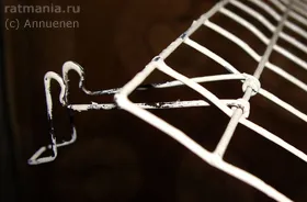 Cage pentru șobolani cu mâinile lor, Rathmann