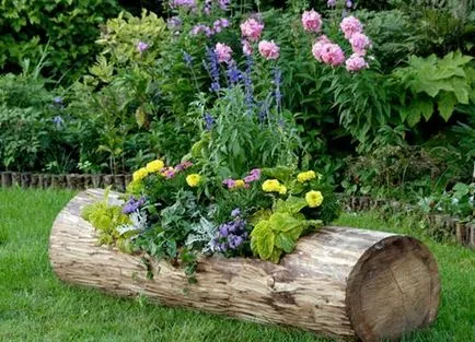 pat de flori în curtea unei case private, cu propriile sale mâini compoziția originală (flowerbeds) pat de flori în curtea unei case private, cu propriile sale mâini compoziția originală