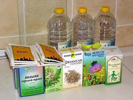 Absintul clasic la reteta acasă