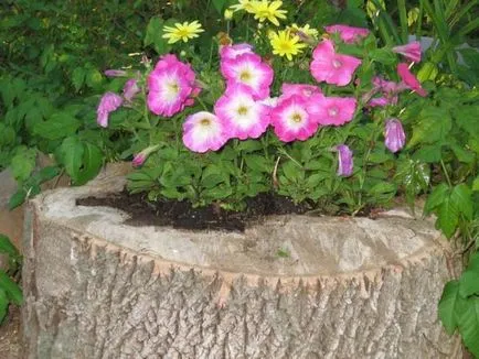 Răzor de flori flowerbeds cu propriile lor mâini pentru a da idei