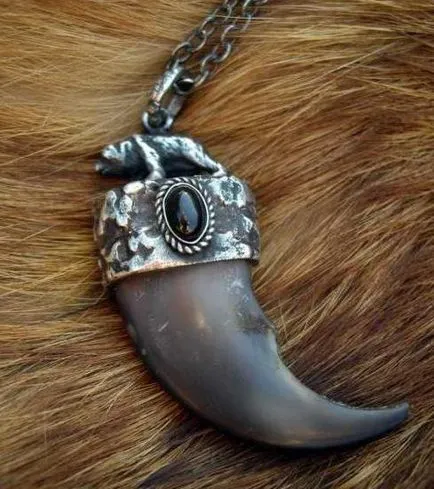 Ursul Gheare - accesoriu elegant sau un tutore puternic (gheare) Ursul Gheare - accesoriu elegant sau un amuletă puternic