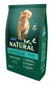 Hrănire pentru naturale guabi, Maine Coon Crescatoria - ryanata