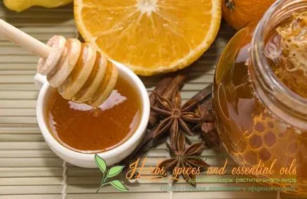 Scorțișoară și miere - rețete și metode de utilizare pentru reintinerire