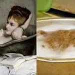 Cat de nunta, pisică roșu