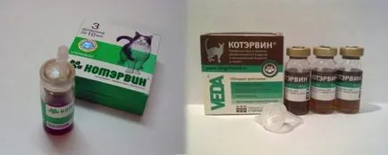 Kotervin - instrucțiuni de utilizare la pisici, comentarii și preț, site-ul „halbă“