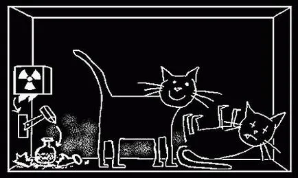 Pisica lui Schrödinger - celebrul experiment paradoxal