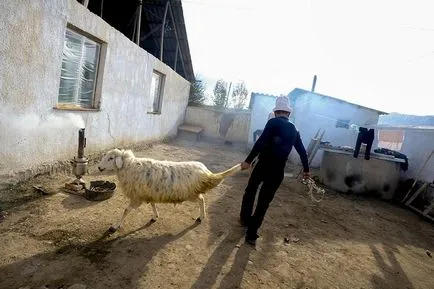 Furat Mireasa Kârgâzstan - știri în imagini (doar de dragul de a fura) Furat Mireasa Kârgâzstan - știri în imagini