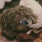 Cine e casa, Brownie