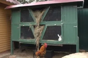 Rabbitry la cabana