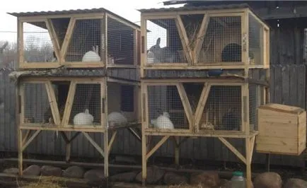 Rabbitry la cabana