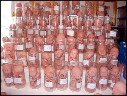 Doll renăscut ca un copil - aparent copii, și să ia mâinile - jucării (copii) Doll renăscut ca un copil - aparent copii, și să ia mâinile - jucării