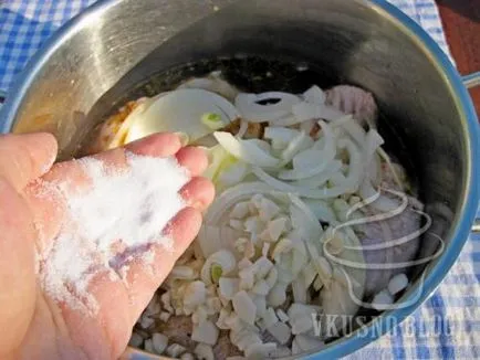 kebab de pui cu vin alb - reteta cu o fotografie
