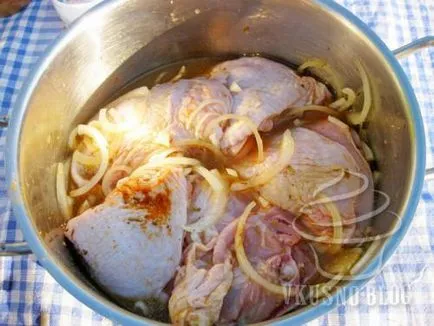 kebab de pui cu vin alb - reteta cu o fotografie