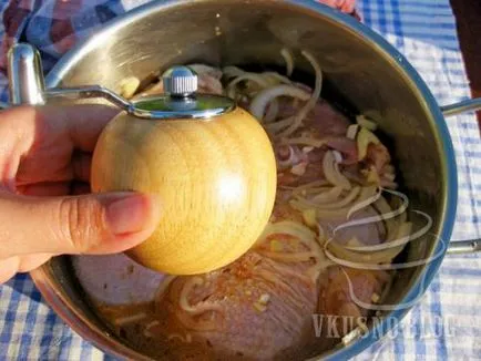 kebab de pui cu vin alb - reteta cu o fotografie