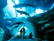 Lazarev Oceanarium