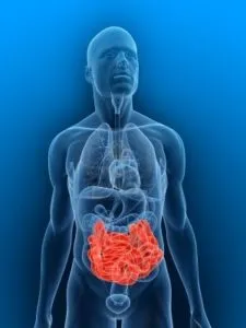 mici remedii intestine Tratamentul populare, medicamente (tratament) Tratamentul de remedii populare intestinale și medicamente