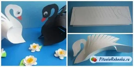 Swan de hîrtie face cu mâinile lor (lor) Swan de hîrtie face cu propriile sale mâini
