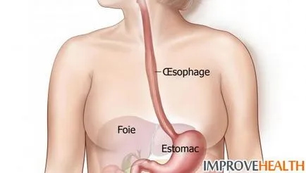 Tratamentul bolilor majore ale intestinului subțire