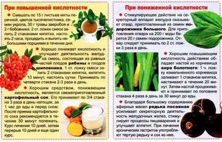 Tratamentul de gastrită cu ierburi de mare aciditate