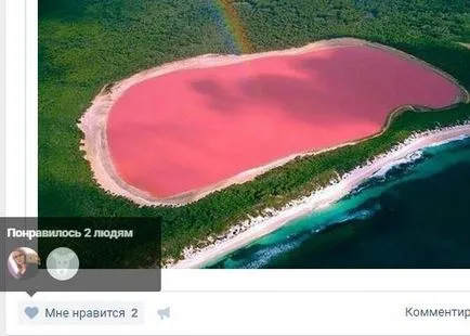 Husky în limitele Vkontakte, interzice limitare, blog personal Freo