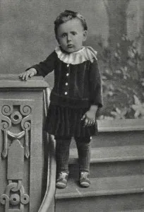 Proiectul literar - care este, Dace centralizat Biblioteca Sistem