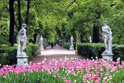 grădină de vară