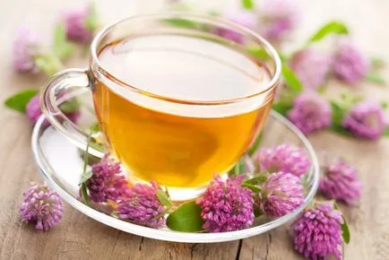 proprietăți medicinale Meadow trifoi și utilizarea plantelor în medicina tradițională (trifoi) proprietăți medicinale Meadow trifoi și utilizarea de plante în medicina tradițională