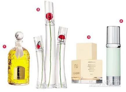 cosmetice mele preferate nu sunt vândute, revista de frumusete pentru femei «femei sănătate» (favorit) cosmetice mele preferate nu sunt vândute, revista de frumusete pentru femei «femei sănătate»