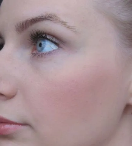 Mac fard de obraz pallete - Comentarii Paletă Rouge