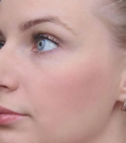 Mac fard de obraz pallete - Comentarii Paletă Rouge