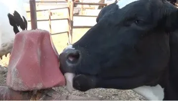 Oxid de magneziu - formula reacției, cerere, cumpărare