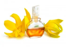 Ylang-ylang beneficii de păr și măști de rețete