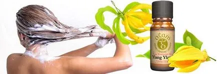 Ylang-ylang pentru a masca de păr cu ulei esential (masca) masca de par ylang-ylang cu uleiuri esențiale