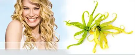 Ylang Ylang par