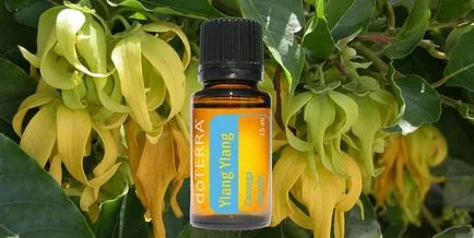 Ulei pentru par ylang-ylang
