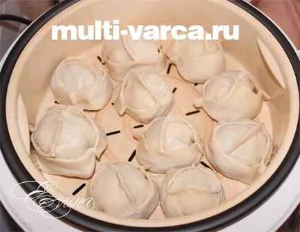 Manta în multivarka