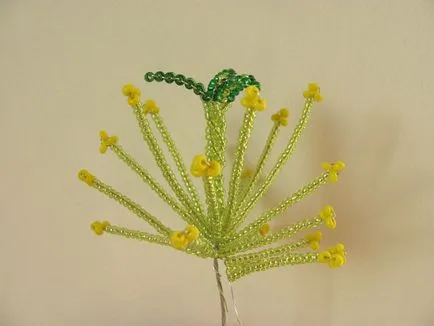 Master class - cactus vis roz, revista on-line pozitiv