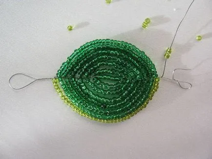 Master class - cactus vis roz, revista on-line pozitiv
