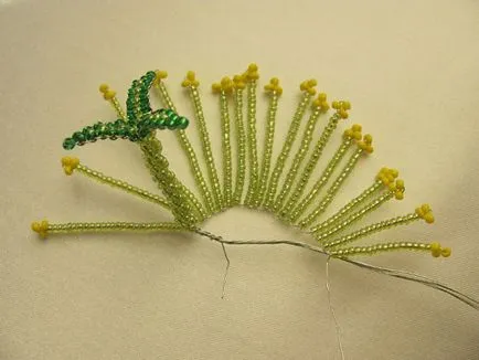 Master class - cactus vis roz, revista on-line pozitiv