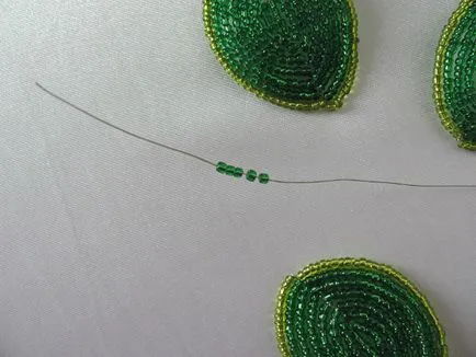 Master class - cactus vis roz, revista on-line pozitiv
