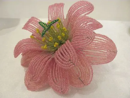 Master class - cactus vis roz, revista on-line pozitiv