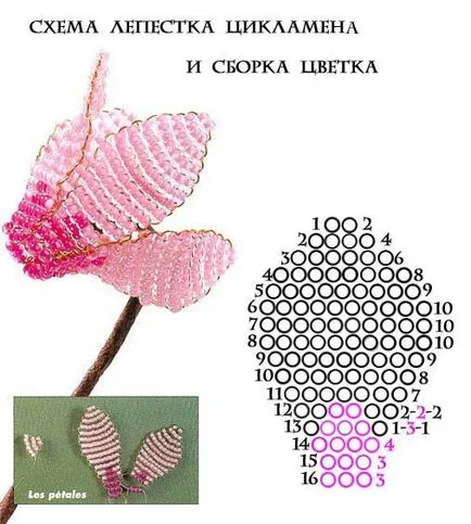 Master class ciclamen șirag de mărgele