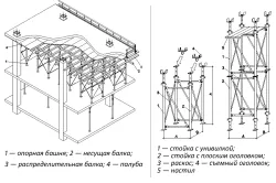 plafon solid cu caracteristici sale specii de mâini (foto și video)