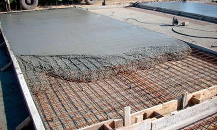 plafon solid cu caracteristici sale specii de mâini (foto și video)