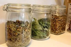 Medicina tradițională și tratament la domiciliu ca plante medicinale pentru a pune la cale în mod corespunzător - Sfaturi pentru gătit (iarbă) Medicina tradițională și tratament la domiciliu ca plante medicinale pentru a pune la cale în mod corespunzător - Sfaturi pentru gătit