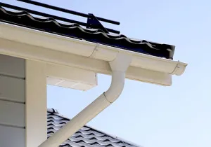 Scurgerea externă